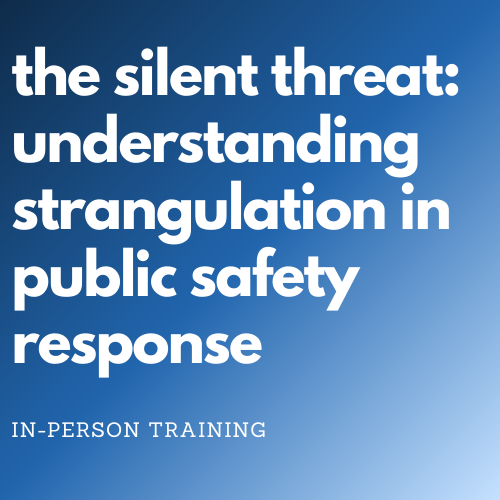 Denise Amber Lee Foundation